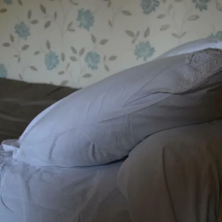 別荘 Le Moulin Neuf ボープレオー＝アン＝モージュ