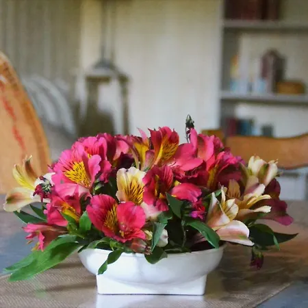 Le Moulin Neuf 別荘 ボープレオー＝アン＝モージュ