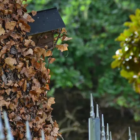 Le Moulin Neuf 別荘 ボープレオー＝アン＝モージュ