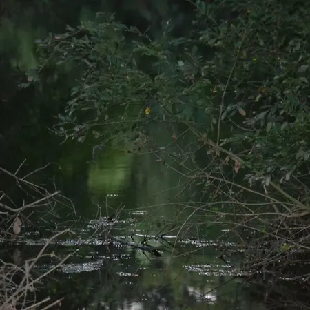 Le Moulin Neuf 別荘 *