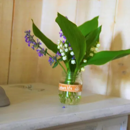 Dom wakacyjny Le Moulin Neuf *