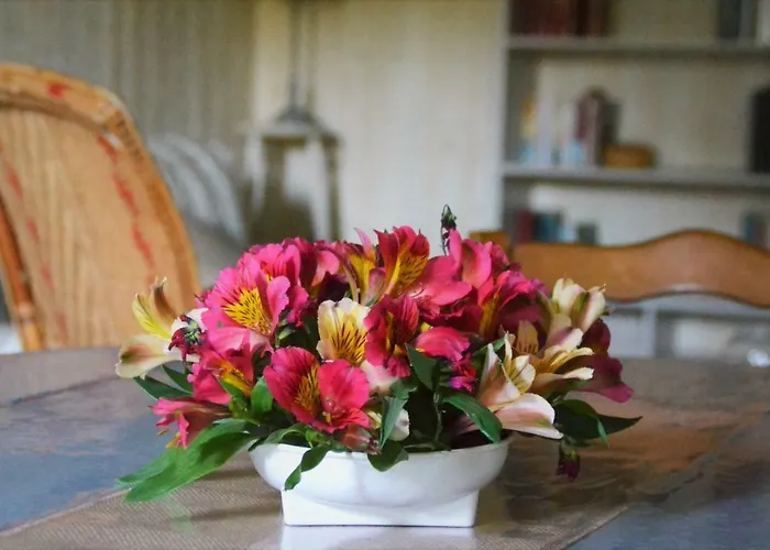 Le Moulin Neuf Nyaraló Beaupréau-en-Mauges