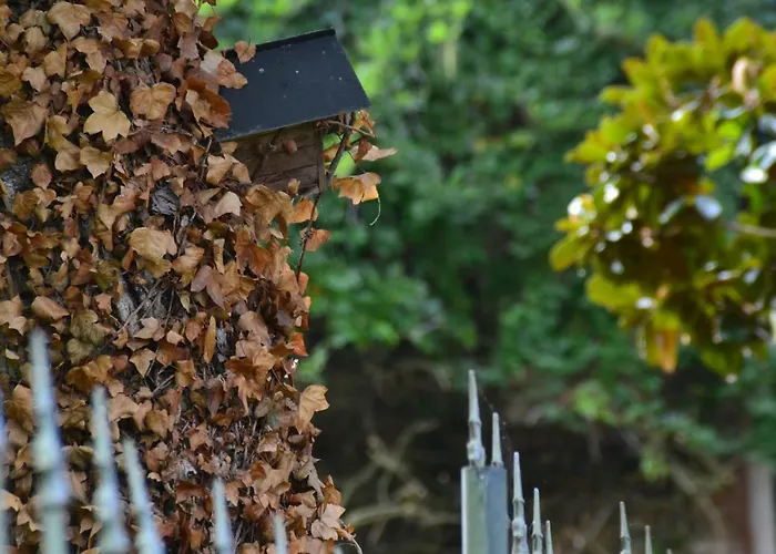 Le Moulin Neuf Ferienhaus Beaupréau-en-Mauges