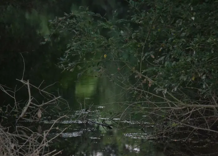 Le Moulin Neuf Nyaraló *