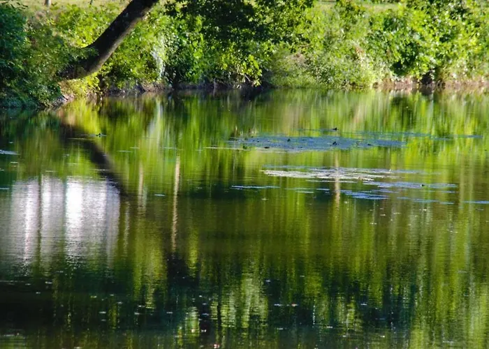 Le Moulin Neuf Nyaraló *