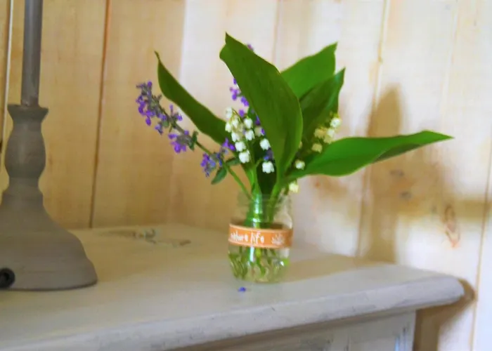 Дом отдыха Le Moulin Neuf *